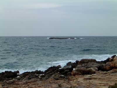 DSCF0103.JPG